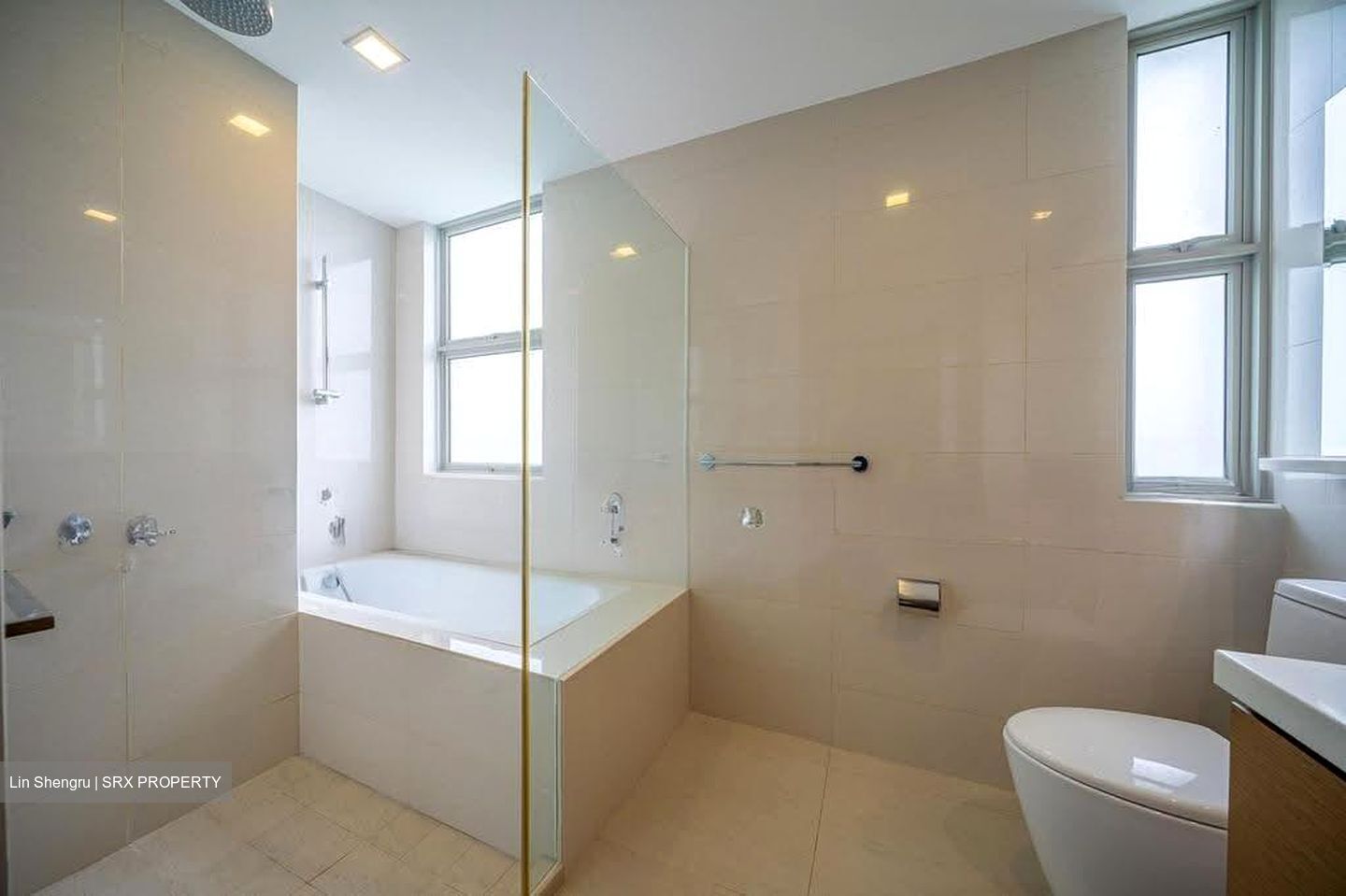 Nassim Regency (D10), Condominium #613245711